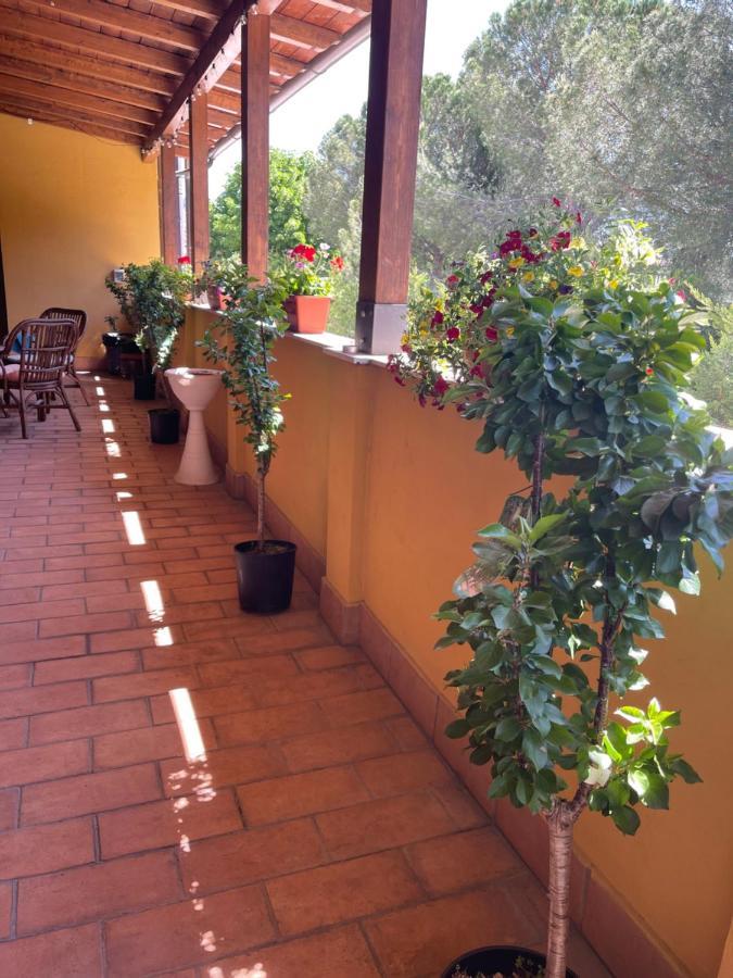 فندق سانتا ماريا ديلي آنفي  La Terrazza Dei Ciliegi المظهر الخارجي الصورة