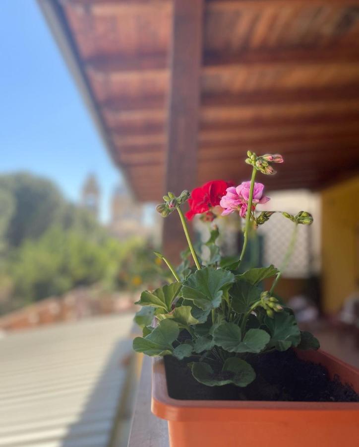 فندق سانتا ماريا ديلي آنفي  La Terrazza Dei Ciliegi المظهر الخارجي الصورة